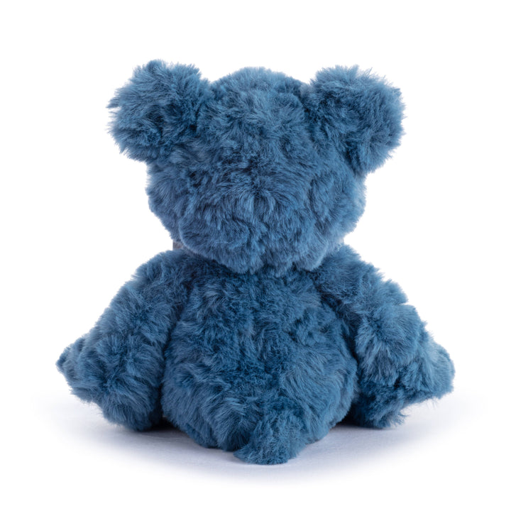 Big Brother Blue Bear - Baby Annoucement