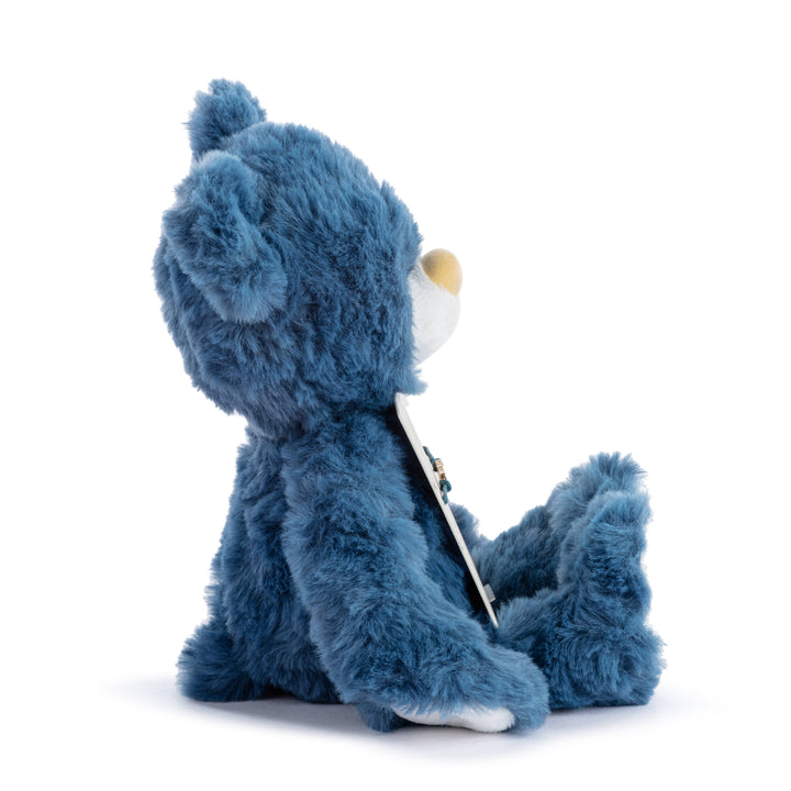 Big Brother Blue Bear - Baby Annoucement