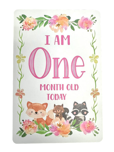 Baby Girl Milestone Cards - Cardstock & Record