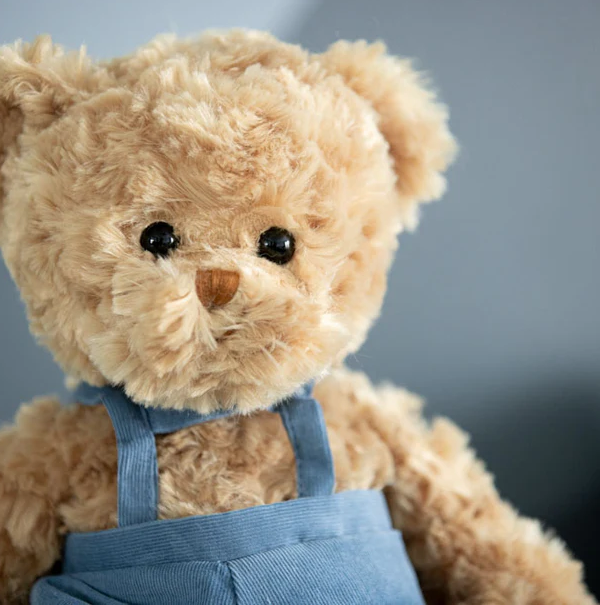 Mavi Bear - Bukowski