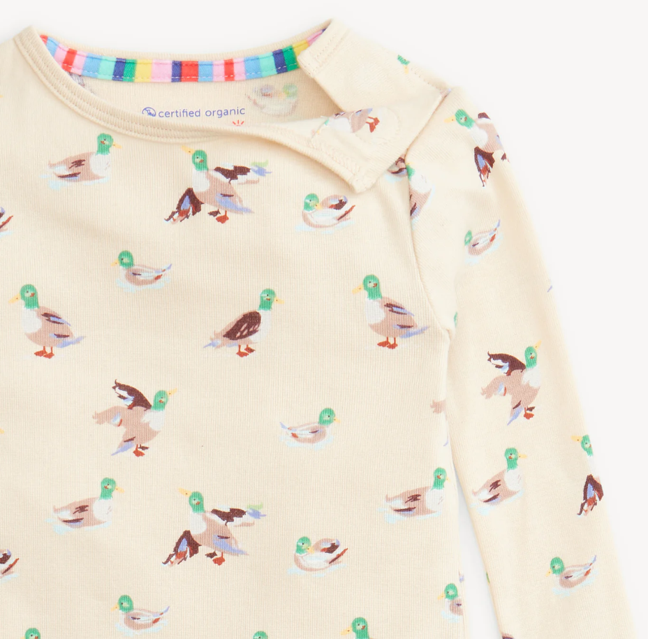 Quack Me Up Mallard Duck Collection - Magnetic Me