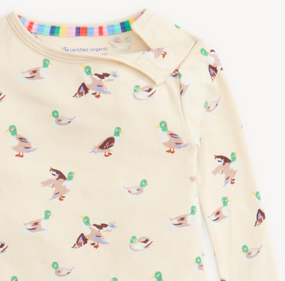 Quack Me Up Mallard Duck Collection - Magnetic Me