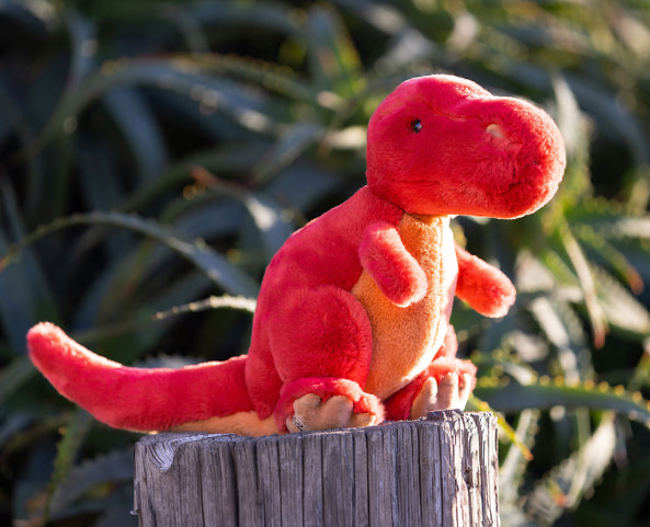 Plush Dinosaurs - Bukowski