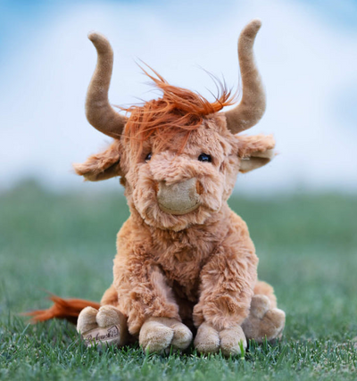Henderson the Highland Cow - Bukowski
