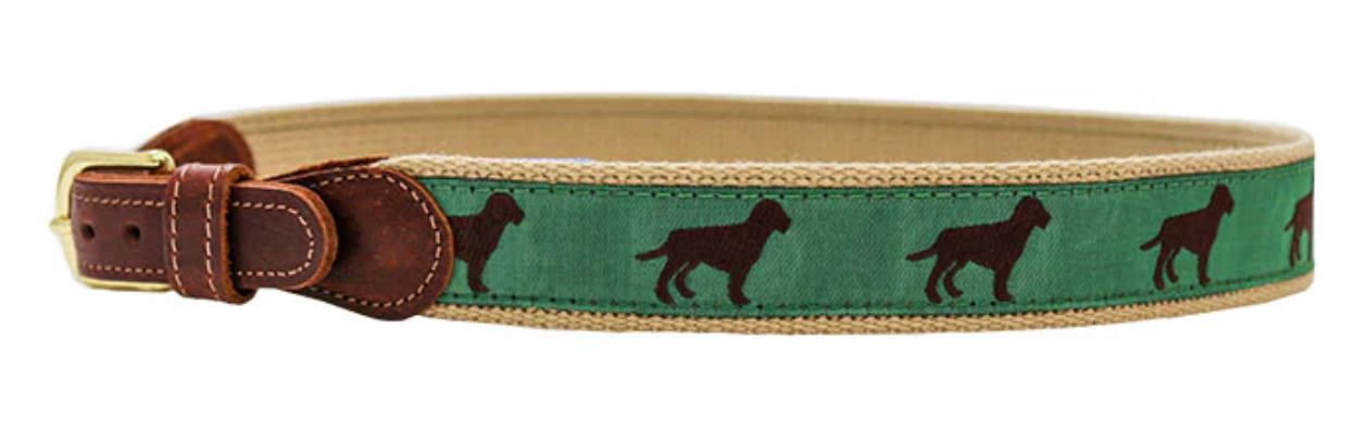 Chocolate Lab on Khaki Belt