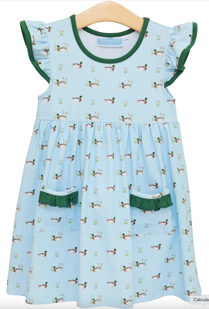 Ducks in a Row Dress - Trotter Street Kids