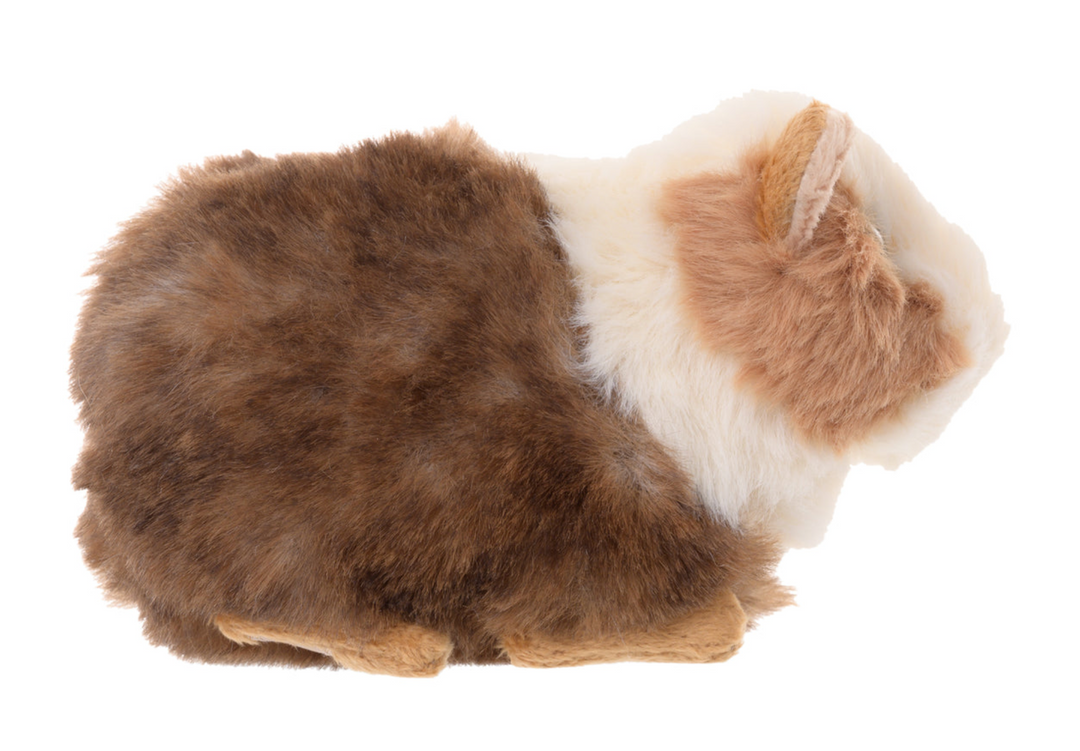Guinea Pig Plush - Bukowski