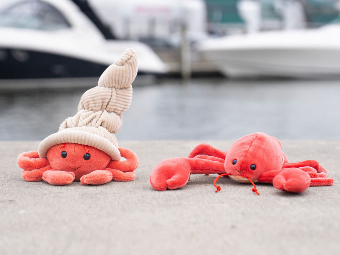 Hermit Crab Plush - Bukowski