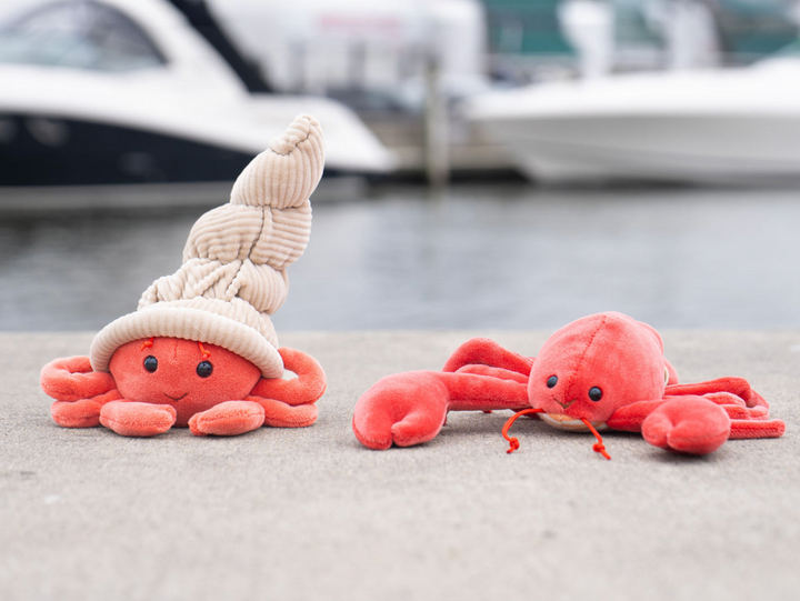 Hermit Crab Plush - Bukowski