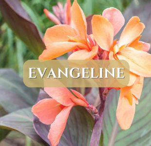 Bourbon Royalty 16oz Damask Stone Candle