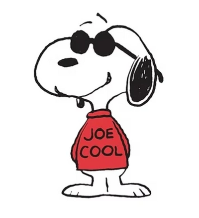 Snoopy Joe Cool Warmies