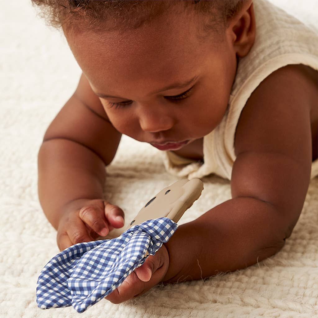Beary Cute Crinkle Crew™ Teether - Itzy Ritzy