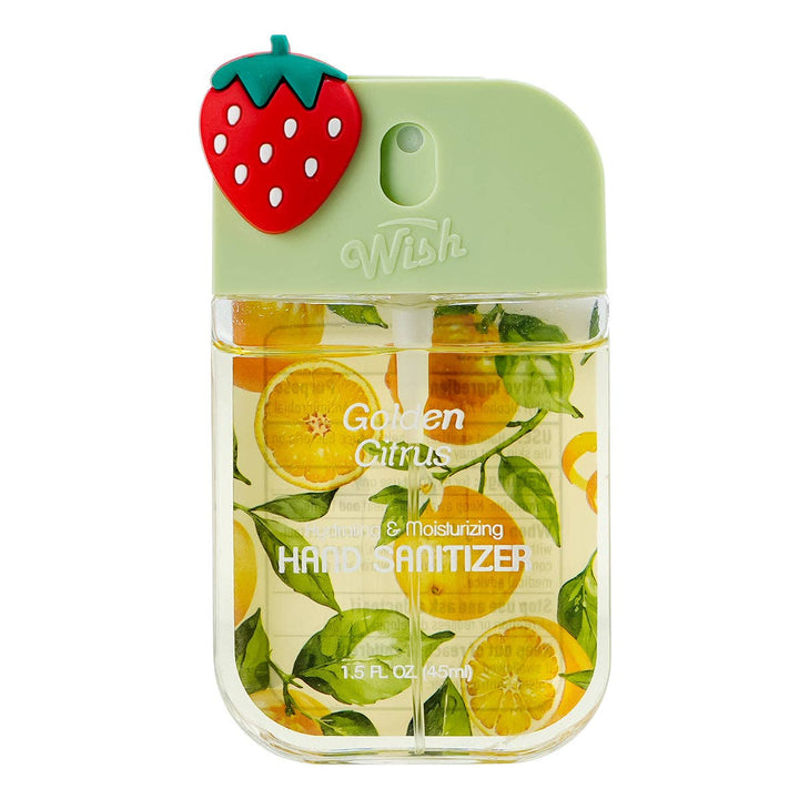 Kids Decorative Charm Hand Sanitizer Collection Case